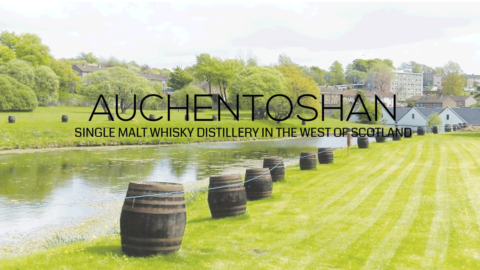 Auchentoshan Whisky